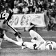 Image for article titled Jack Tatum Killed Darryl Stingley, And We Made Him Do It